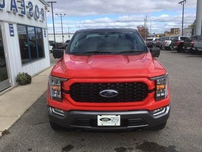 2023福特F-150 XLT